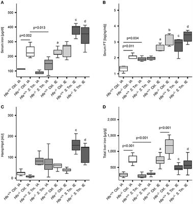 Genetic and Dietary Iron Overload Differentially Affect the Course of Salmonella Typhimurium Infection